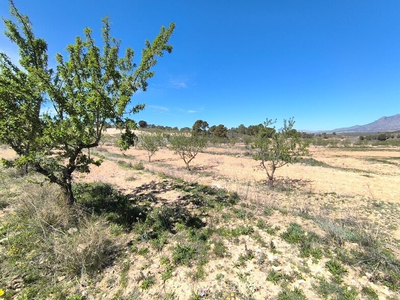 Terrain dans Jumilla, Murcia à vendre - Photo de l’immeuble – Image 3 sur 4
