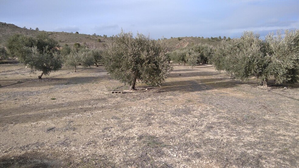 Terrain dans Calasparra, Murcia à vendre - Photo de l’immeuble – Image 3 sur 26