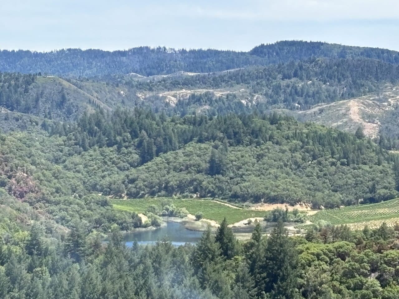 4901 Stewarts Point Skaggs Springs Road, Geyserville, CA à vendre Photo principale– Image 1 sur 10