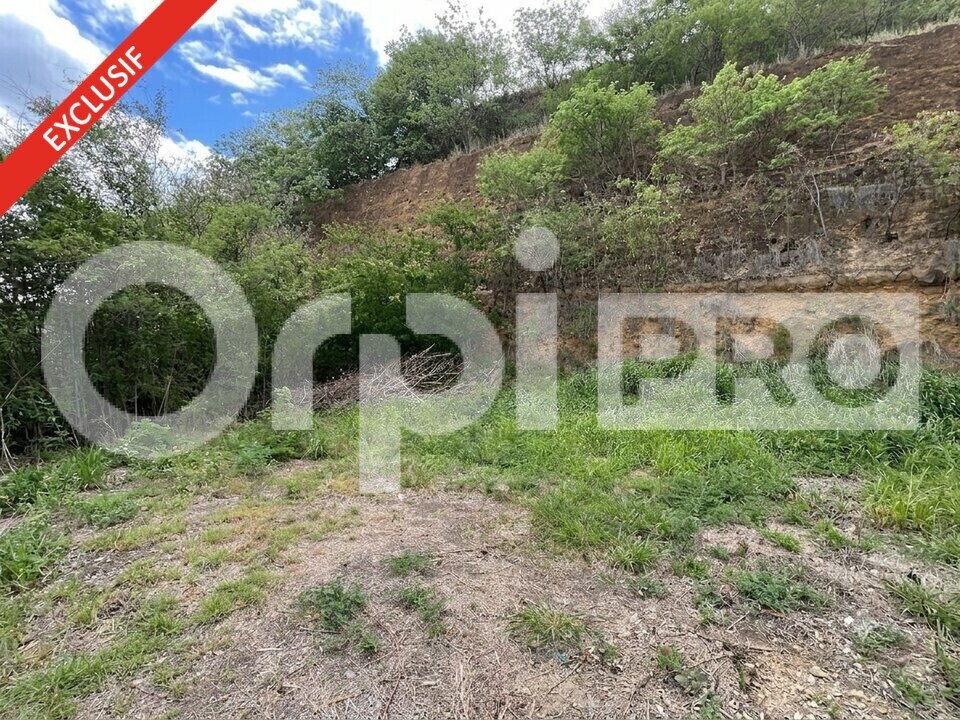 Terrain dans BASSE-TERRE à vendre Plan de site– Image 1 sur 5