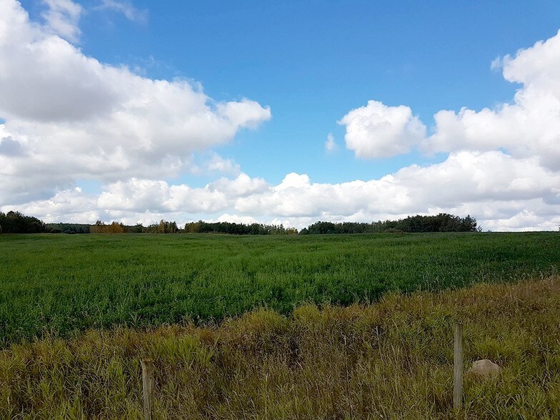Range Rd 21, Onoway, AB à vendre - Photo de l’immeuble – Image 3 sur 5