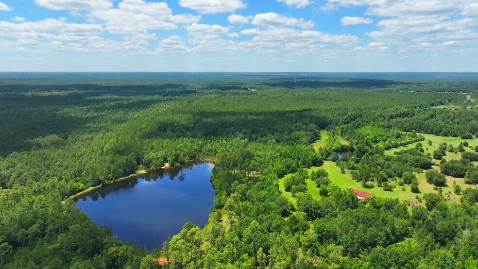 0 Kings Landing Road, Seminole, AL à vendre - Vidéo sur l’annonce professionnelle – Image 2 sur 15