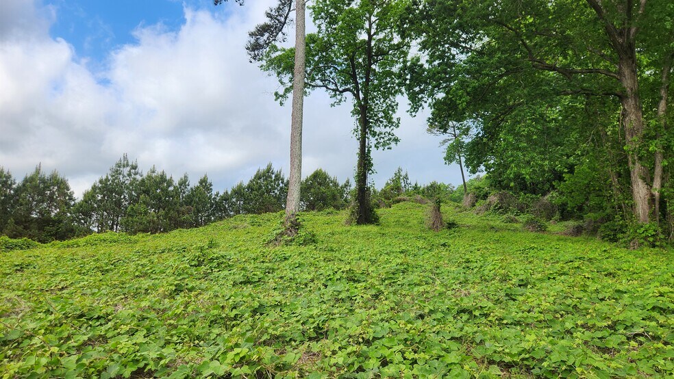 Near 5370 Deerfoot Parkway Pky, Trussville, AL à vendre - Photo de l’immeuble – Image 3 sur 15