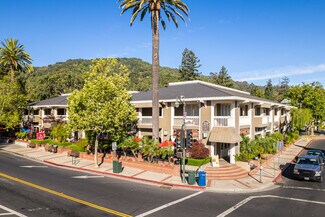 Plus de détails pour 20 S Santa Cruz Ave, Los Gatos, CA - Bureau, Bureau/Local commercial à louer