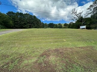 Plus de détails pour 27590 US Highway 431, Grant, AL - Terrain à vendre