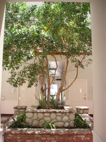 5348 Topanga Canyon Blvd, Woodland Hills, CA à louer - Autre – Image 3 sur 10