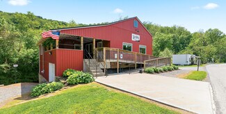 Plus de détails pour 160-164 Wades Run Rd, Mount Morris, PA - Local commercial à vendre